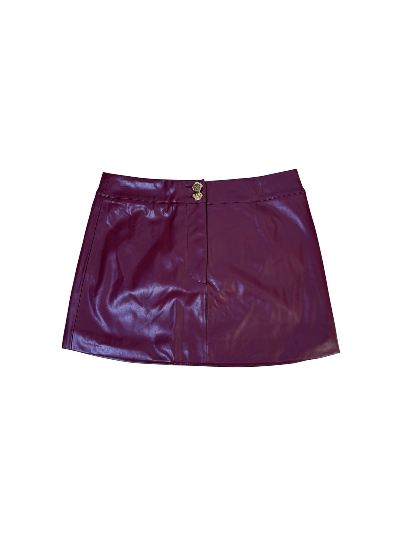 Lexy Leather Mini Skirt
