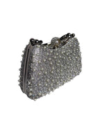 Estella Silver Clutch
